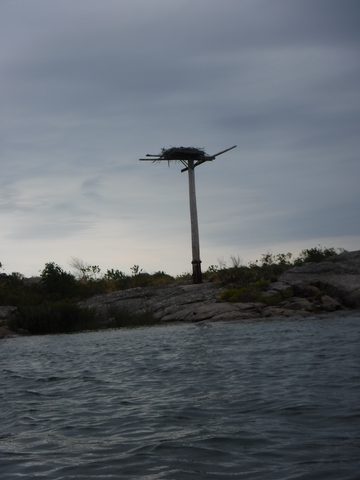 Photo from Kayak Therapy and friluftsliv at Big McCoy.
