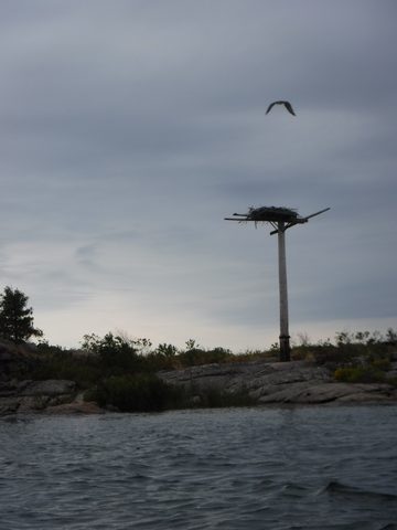 Photo from Kayak Therapy and friluftsliv at Big McCoy.