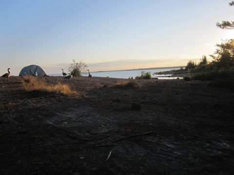 Photo from Kayak Therapy and friluftsliv at Big McCoy.