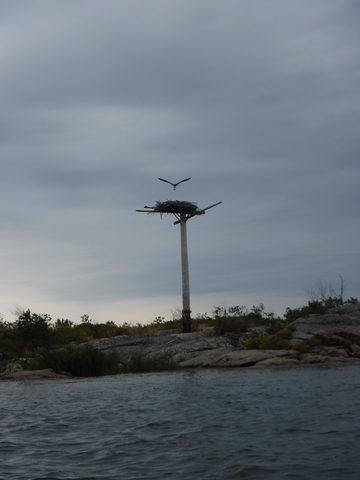 Photo from Kayak Therapy and friluftsliv at Big McCoy.