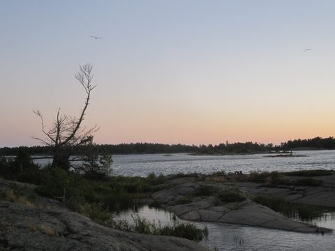 Photo from Kayak Therapy and friluftsliv at Big McCoy.