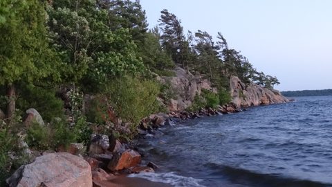 Photo from Beginner Kayaking trip To Franklin Island