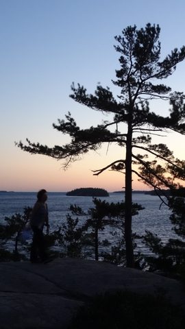 Photo from Beginner Kayaking trip To Franklin Island