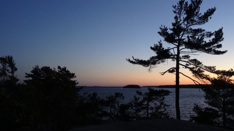 Photo from Beginner Kayaking trip To Franklin Island