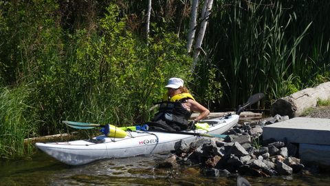 Photo from Beginner Kayaking trip To Franklin Island