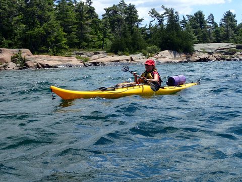 Photo from Beginner Kayaking trip To Franklin Island