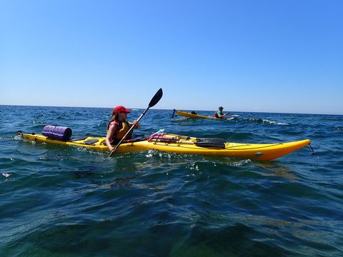Photo from Beginner Kayaking trip To Franklin Island