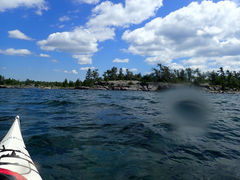 Photo from Beginner Kayaking trip To Franklin Island