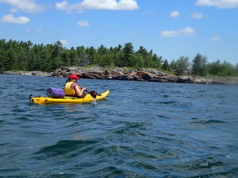 Photo from Beginner Kayaking trip To Franklin Island