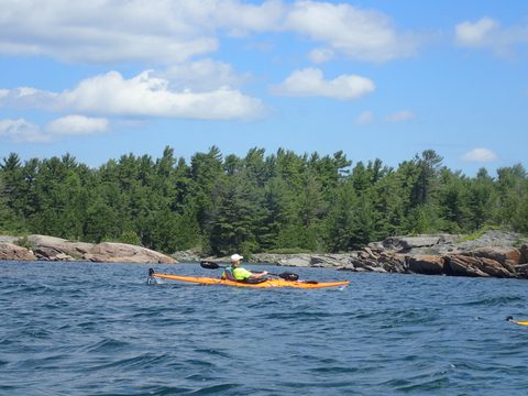 Photo from Beginner Kayaking trip To Franklin Island