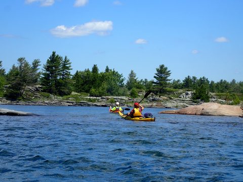 Photo from Beginner Kayaking trip To Franklin Island