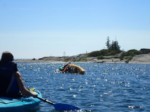 Photo from Beginner Kayaking trip To Franklin Island