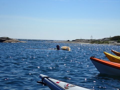 Photo from Beginner Kayaking trip To Franklin Island