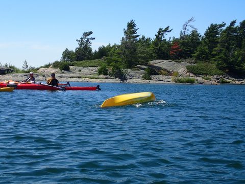 Photo from Beginner Kayaking trip To Franklin Island