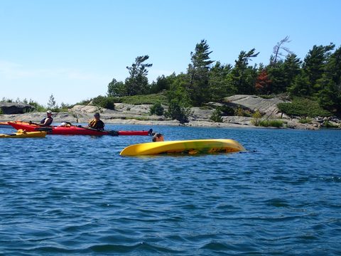 Photo from Beginner Kayaking trip To Franklin Island