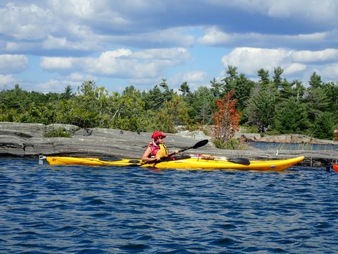 Photo from Beginner Kayaking trip To Franklin Island