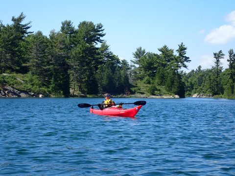 Photo from Beginner Kayaking trip To Franklin Island