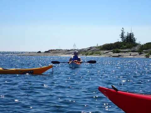 Photo from Beginner Kayaking trip To Franklin Island