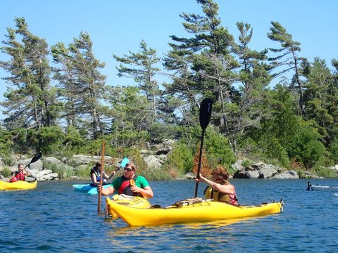 Photo from Beginner Kayaking trip To Franklin Island