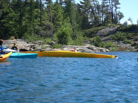 Photo from Beginner Kayaking trip To Franklin Island