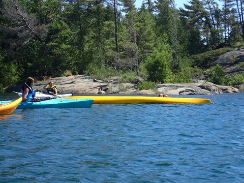 Photo from Beginner Kayaking trip To Franklin Island