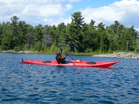 Photo from Beginner Kayaking trip To Franklin Island