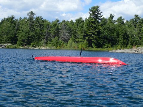 Photo from Beginner Kayaking trip To Franklin Island
