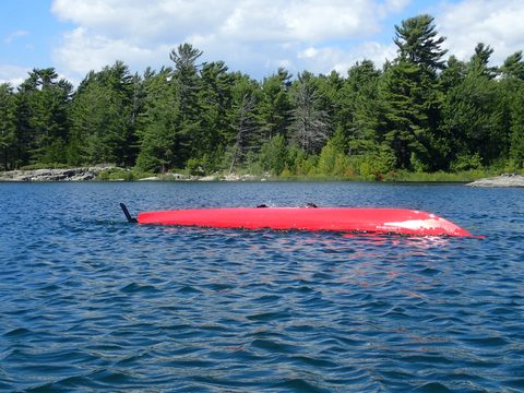 Photo from Beginner Kayaking trip To Franklin Island