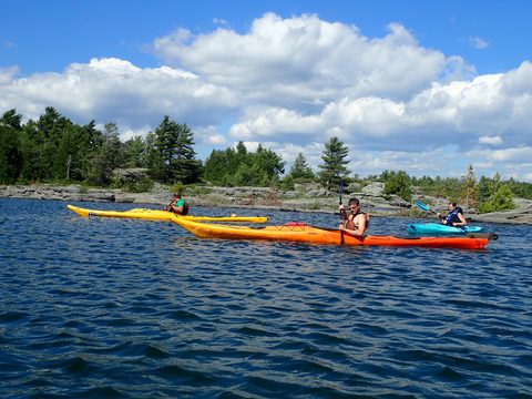Photo from Beginner Kayaking trip To Franklin Island