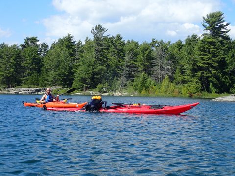 Photo from Beginner Kayaking trip To Franklin Island