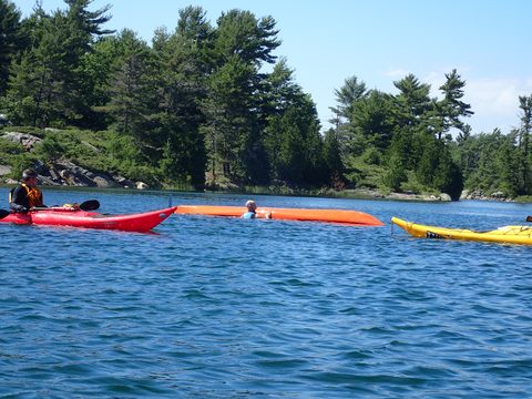 Photo from Beginner Kayaking trip To Franklin Island