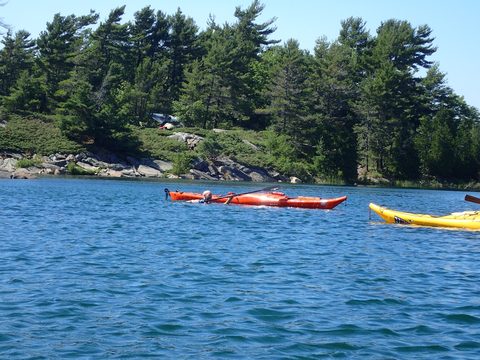 Photo from Beginner Kayaking trip To Franklin Island