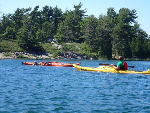 Photo from Beginner Kayaking trip To Franklin Island