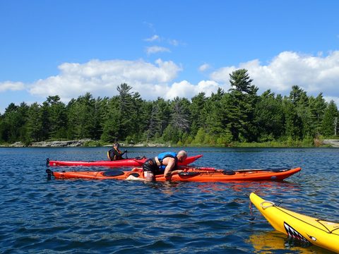 Photo from Beginner Kayaking trip To Franklin Island