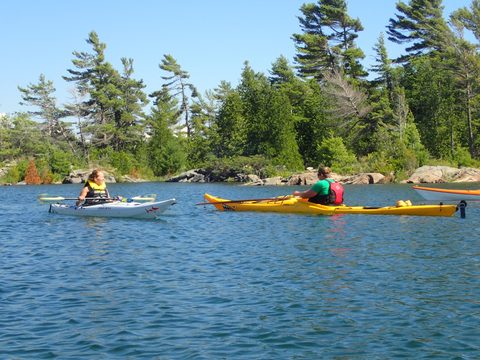 Photo from Beginner Kayaking trip To Franklin Island