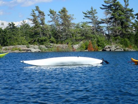Photo from Beginner Kayaking trip To Franklin Island