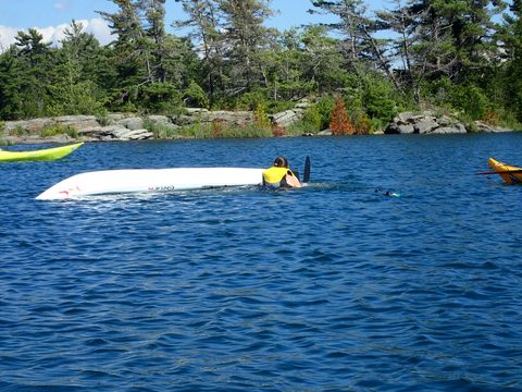 Photo from Beginner Kayaking trip To Franklin Island