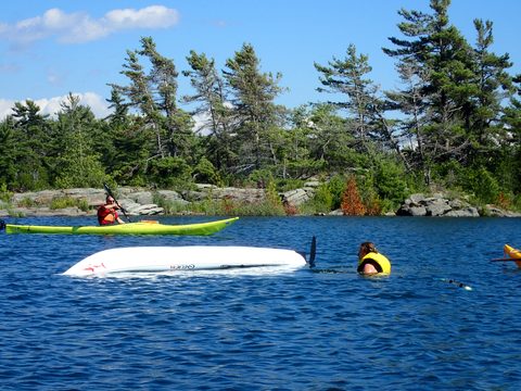 Photo from Beginner Kayaking trip To Franklin Island