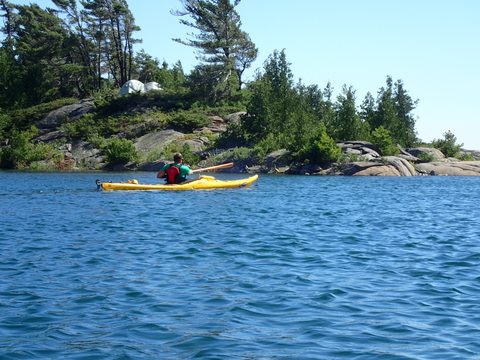 Photo from Beginner Kayaking trip To Franklin Island