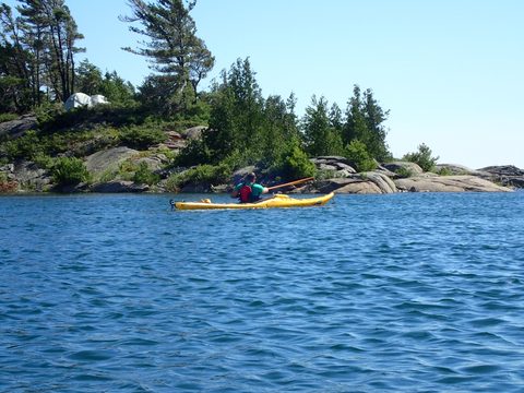 Photo from Beginner Kayaking trip To Franklin Island