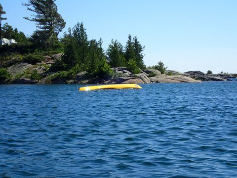 Photo from Beginner Kayaking trip To Franklin Island