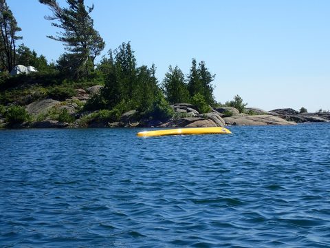Photo from Beginner Kayaking trip To Franklin Island