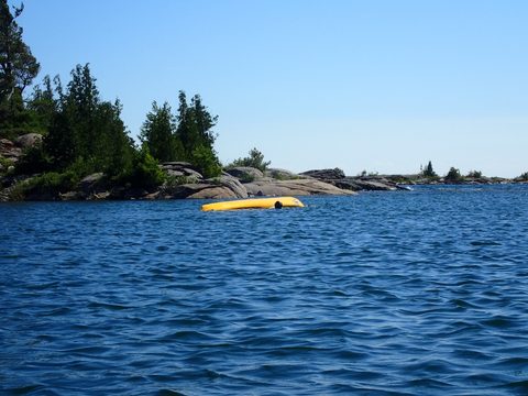Photo from Beginner Kayaking trip To Franklin Island