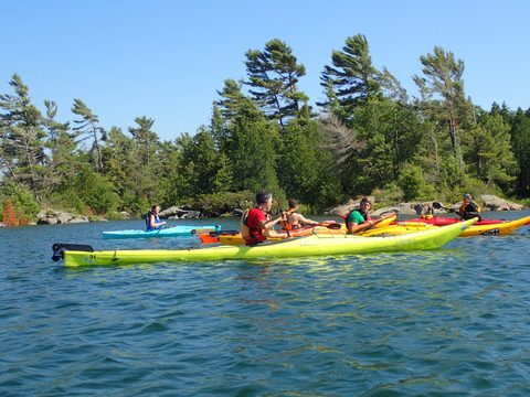 Photo from Beginner Kayaking trip To Franklin Island