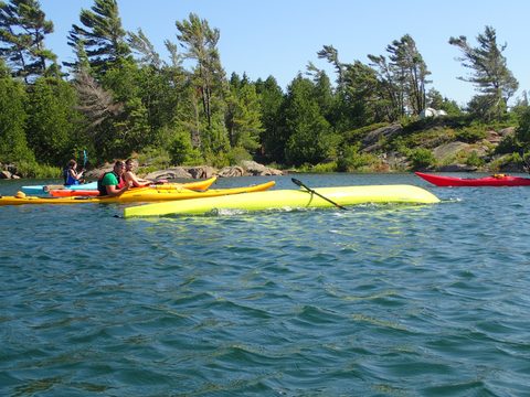 Photo from Beginner Kayaking trip To Franklin Island