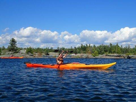 Photo from Beginner Kayaking trip To Franklin Island