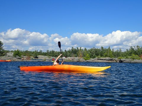 Photo from Beginner Kayaking trip To Franklin Island