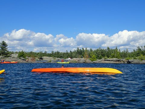 Photo from Beginner Kayaking trip To Franklin Island