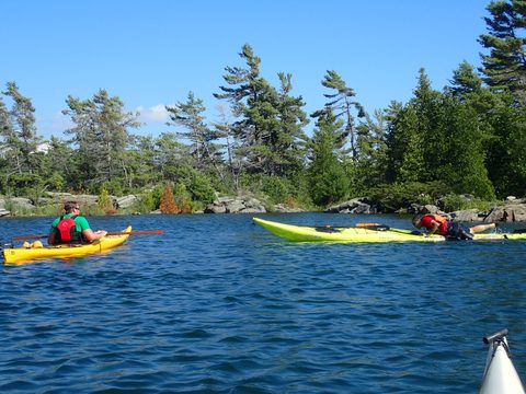 Photo from Beginner Kayaking trip To Franklin Island