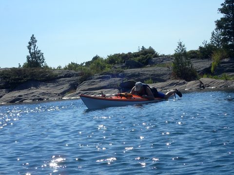 Photo from Beginner Kayaking trip To Franklin Island